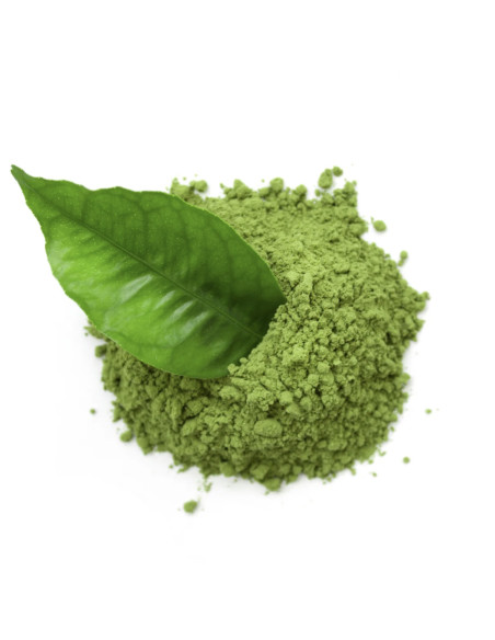 BIO japonská matcha ceremoniální čaj